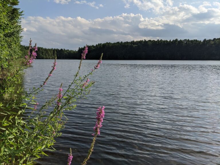 gates pond