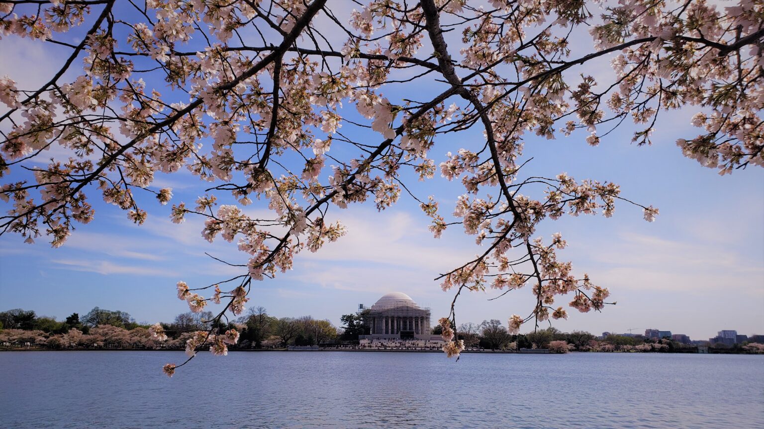 View from the tidal basin