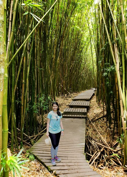 Bamboo forest on Pipiwai Trail Bamboo forest on Pipiwai Trail