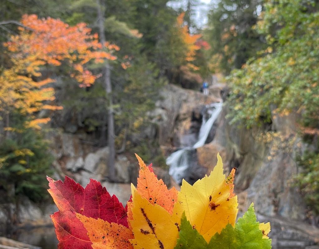 8E15DCF4-8A72-4E42-BBC3-12D459A225DD Smalls Falls